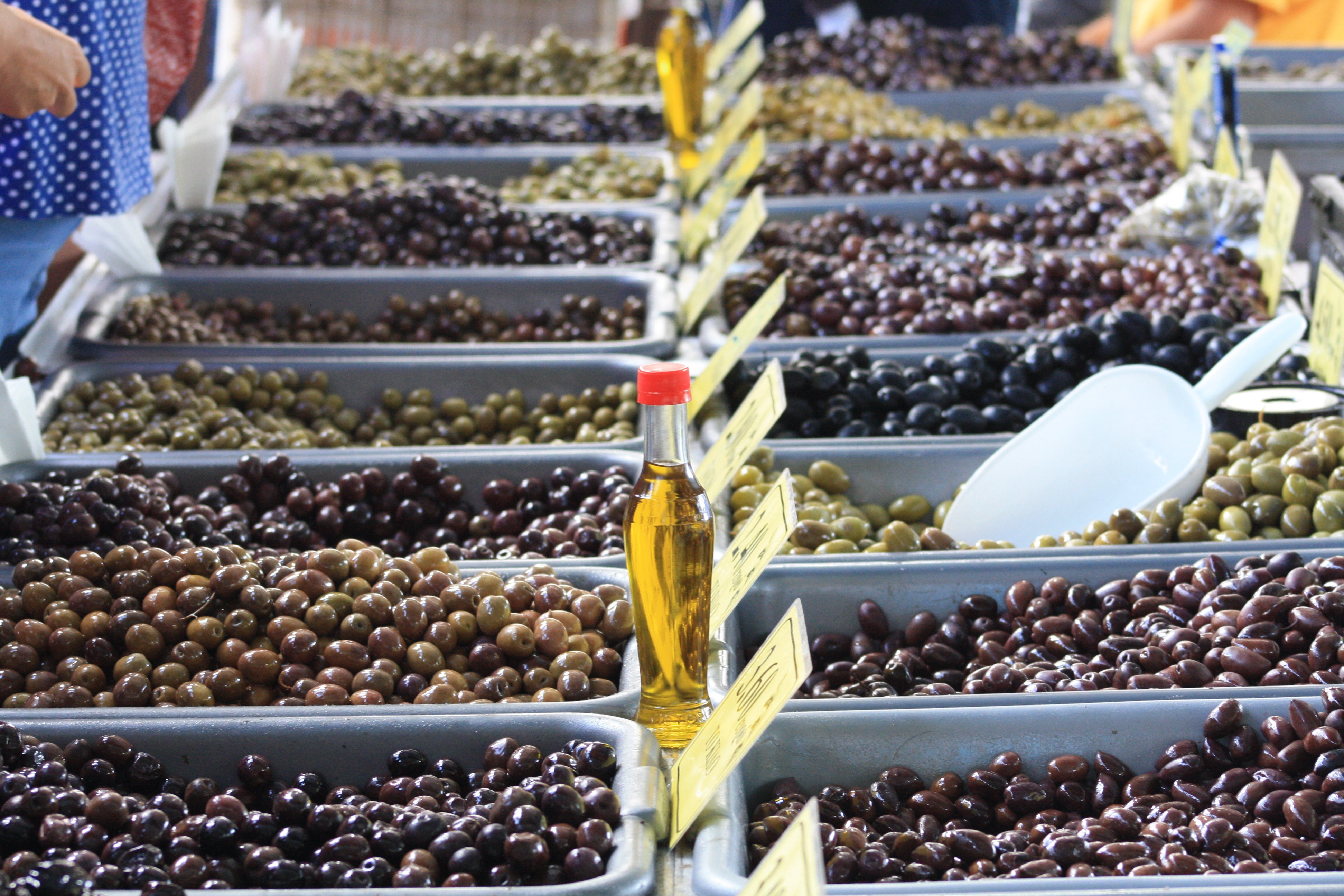 Cultivating olive oil in Lefkada, Greece